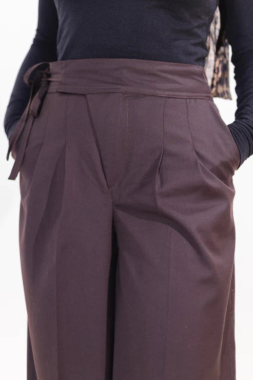 Brown Darted Pants